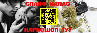 apvp Кимры